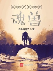 成人午夜剧场剧情介绍