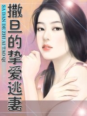 老卫和淑蓉二部作品剧情介绍