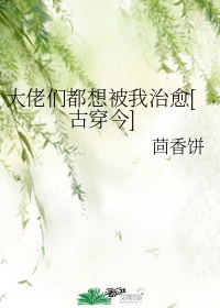 使命林荫全集25集在线播放剧情介绍