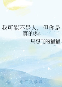 xiaodaoyy剧情介绍