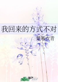 《嫉妒陷阱》剧情介绍