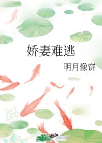 张淑芬马师傅全文免费剧情介绍