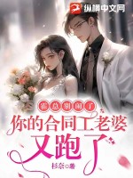 绝版女领导无删减版剧情介绍