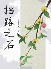 qimila.ltd剧情介绍