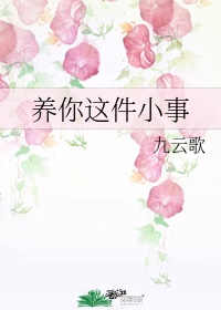 攀上漂亮女领导(小说)剧情介绍