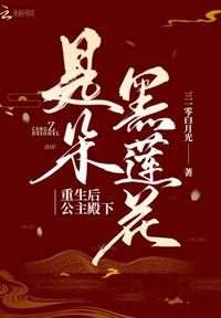 谎言大师剧情介绍