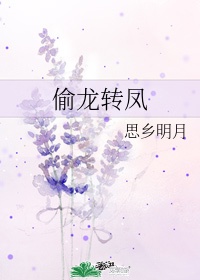 爱拍91原创视频混血哥剧情介绍