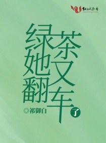 成人动漫中文网剧情介绍