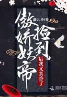 特化师电视剧免费观看剧情介绍