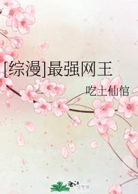 我的师父是王语嫣尽欢潮汐剧情介绍