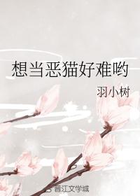 女豹剧情介绍