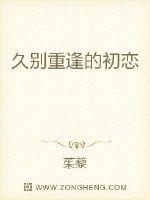 中央新闻13剧情介绍