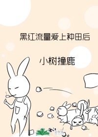 守望先锋dva无鸟翼漫画剧情介绍