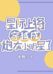 将军男后剧情介绍