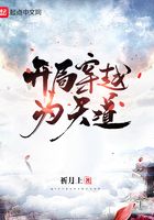 《年轻的小婊孑2》剧情介绍