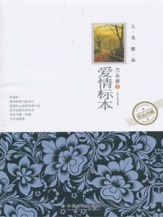 贞芸传剧情介绍