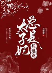 探岳coupe剧情介绍