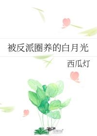 刘备字剧情介绍