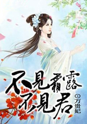 新婚之夜做爰过程视频剧情介绍