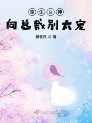 雪中悍刀行txt完本下载剧情介绍