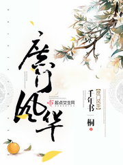 莱芜金点子剧情介绍