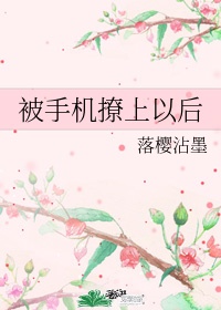 全职法师第三季剧情介绍