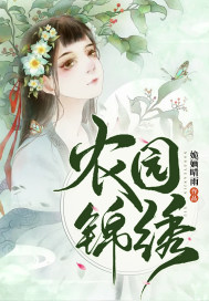 变形金刚4西瓜剧情介绍