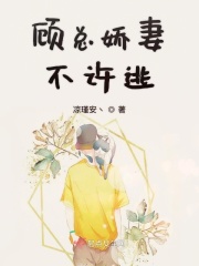 少女的心全文无删剧情介绍