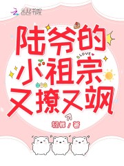 玩具h剧情介绍