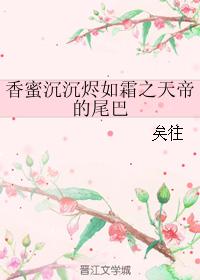 一婚更比一婚高txt下载剧情介绍