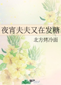 丁丁漫画剧情介绍