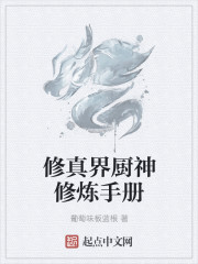 北宋小厨师剧情介绍