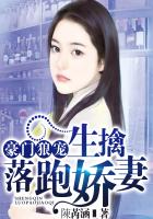 倾城傻妃剧情介绍