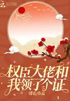 《风筝》电视剧全集剧情介绍