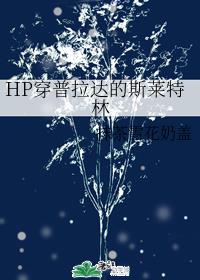 襄阳后记剧情介绍