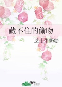 莲花梦迟剧情介绍