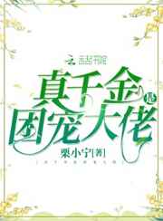 菠萝菠萝蜜高清观看3剧情介绍