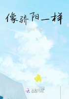 师姐她画风清奇沙雕剧情介绍