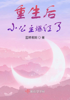 盛夏晚晴天 txt剧情介绍