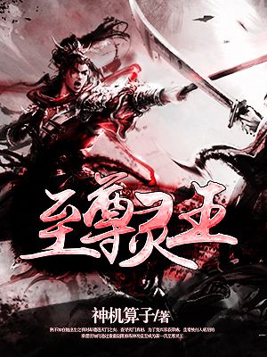 恶魔果实图鉴剧情介绍