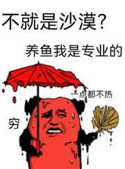 花魁直播剧情介绍