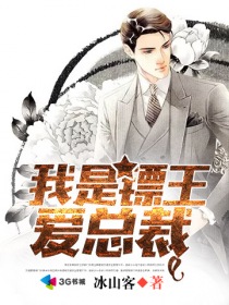 二哈的白猫师尊242车剧情介绍