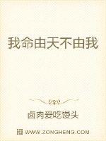 大宅门第一部全集40集免费播放剧情介绍