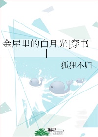 全职法师在线剧情介绍