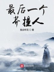 车文超细过程文字剧情介绍