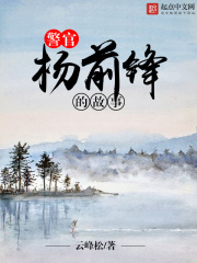 一豹剧情介绍