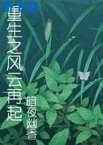 丛雨剧情介绍