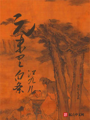 XIAOYIZI剧情介绍