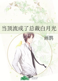 变形金刚4:绝迹重生剧情介绍