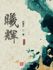 diediaowang剧情介绍